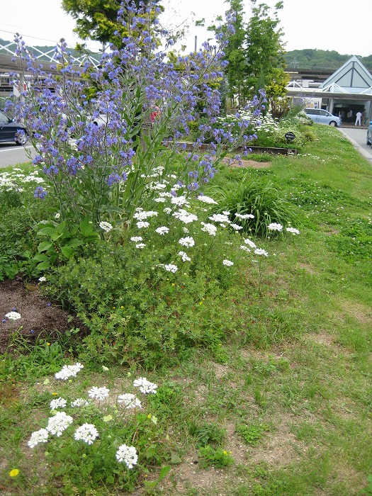 三田市けやき台　富田庭