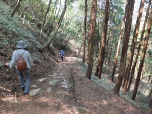 フラワータウン市民センター　ゴーヤの植え付け