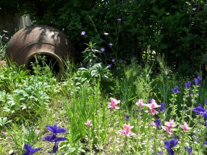 新三田駅前　Welcome Garden