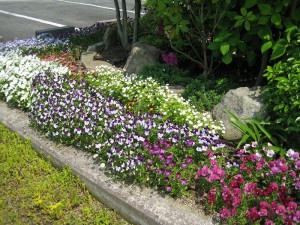 三田市すずかけ台　ひょうご花育ねっと