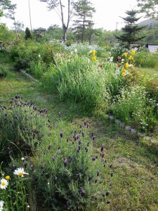 三田市学園　吉村庭