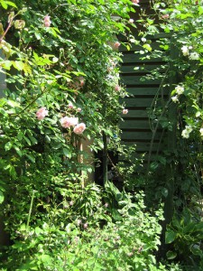 フラワータウン市民センター　ゴーヤの植え付け