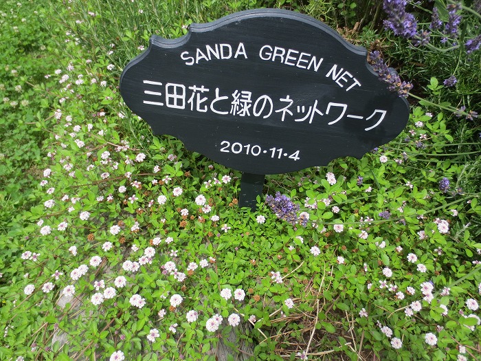 Welcome Gardenの作業