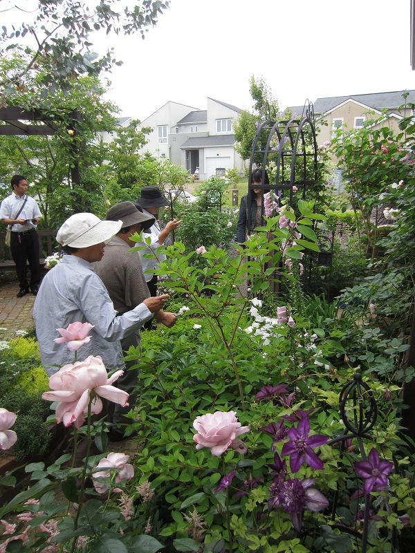 OGに咲いてた植物