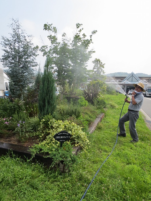 Welcome Garden７月の作業