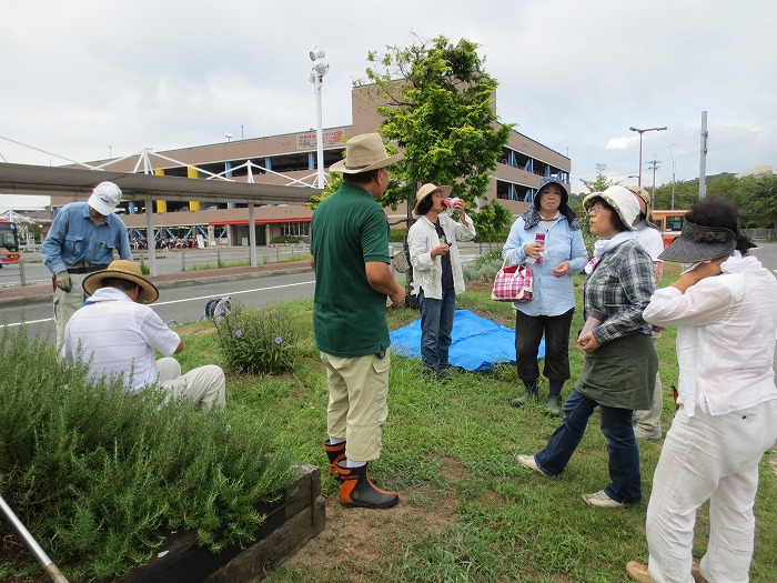 Welcome Gardenの除草作業