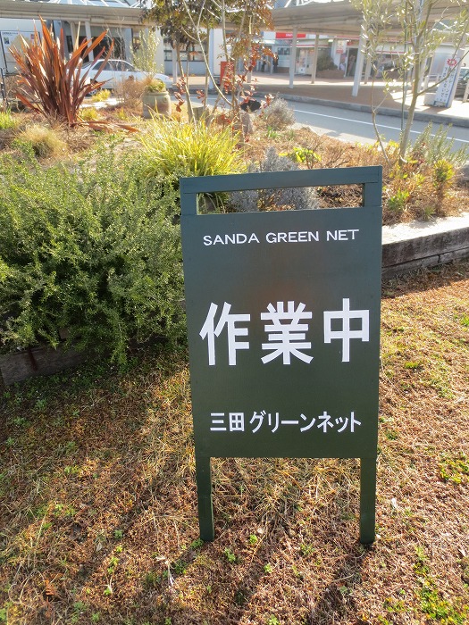 Welcome Gardenの作業