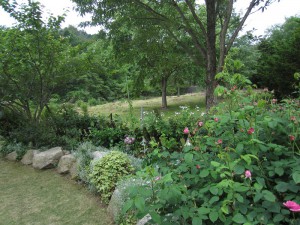 IMG_0519
