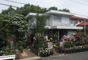 sakaguchi