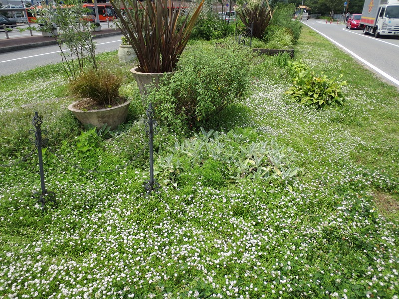 Welcome Garden