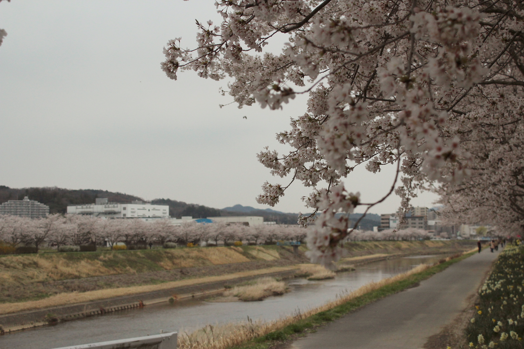 フラワータウン市民センター前のコンテナ