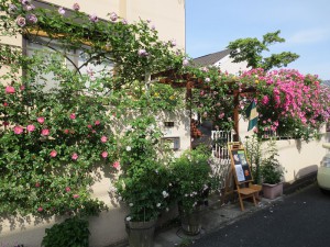 IMG_4170髙木１