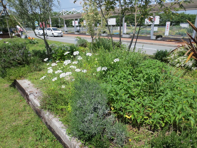 研修旅行　善通寺市へ