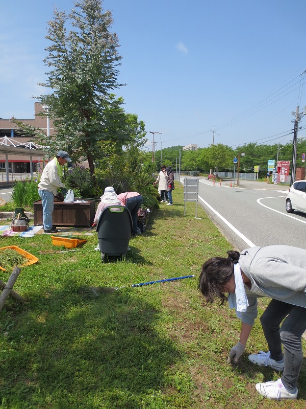 雨天中止のお知らせ