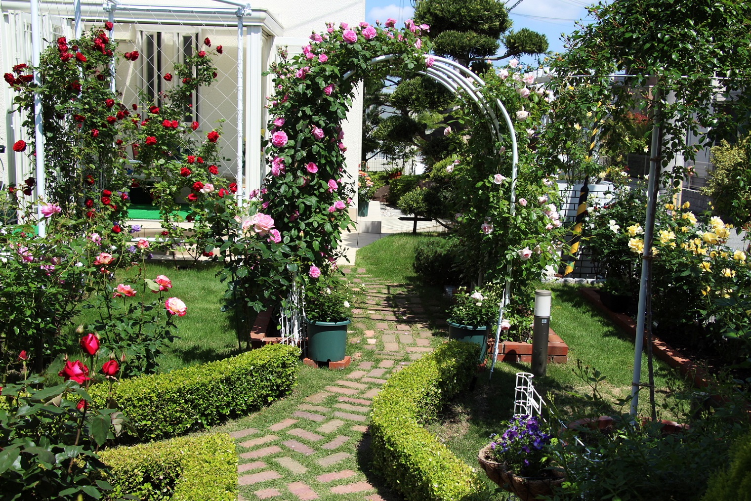 Ｗｅｌｃｏｍｅ　Ｇａｒｄｅｎ＆ 武庫川河川花壇　作業