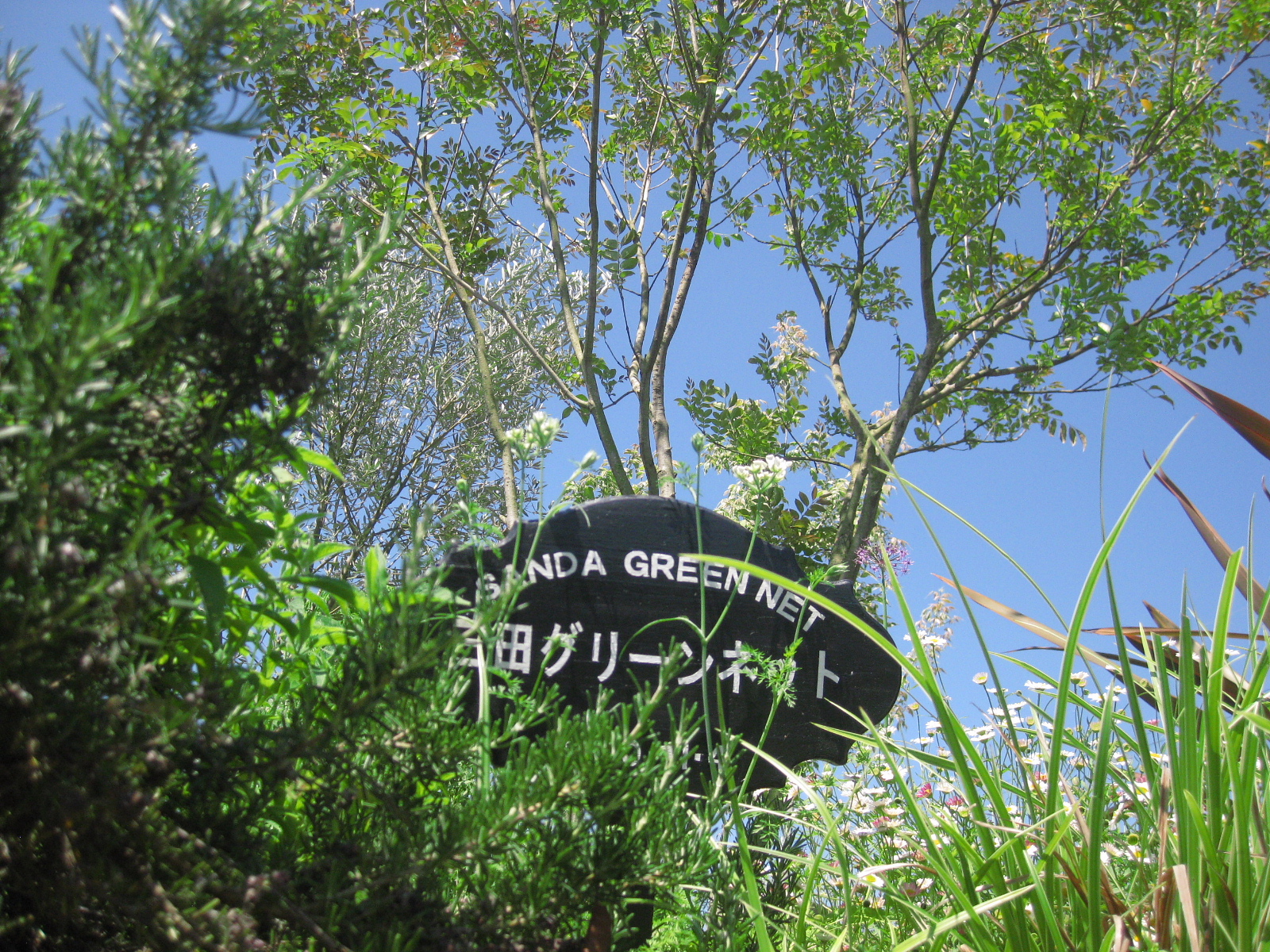 Ｗｅｌｃｏｍｅ　Ｇａｒｄｅｎ＆ 武庫川河川花壇　作業