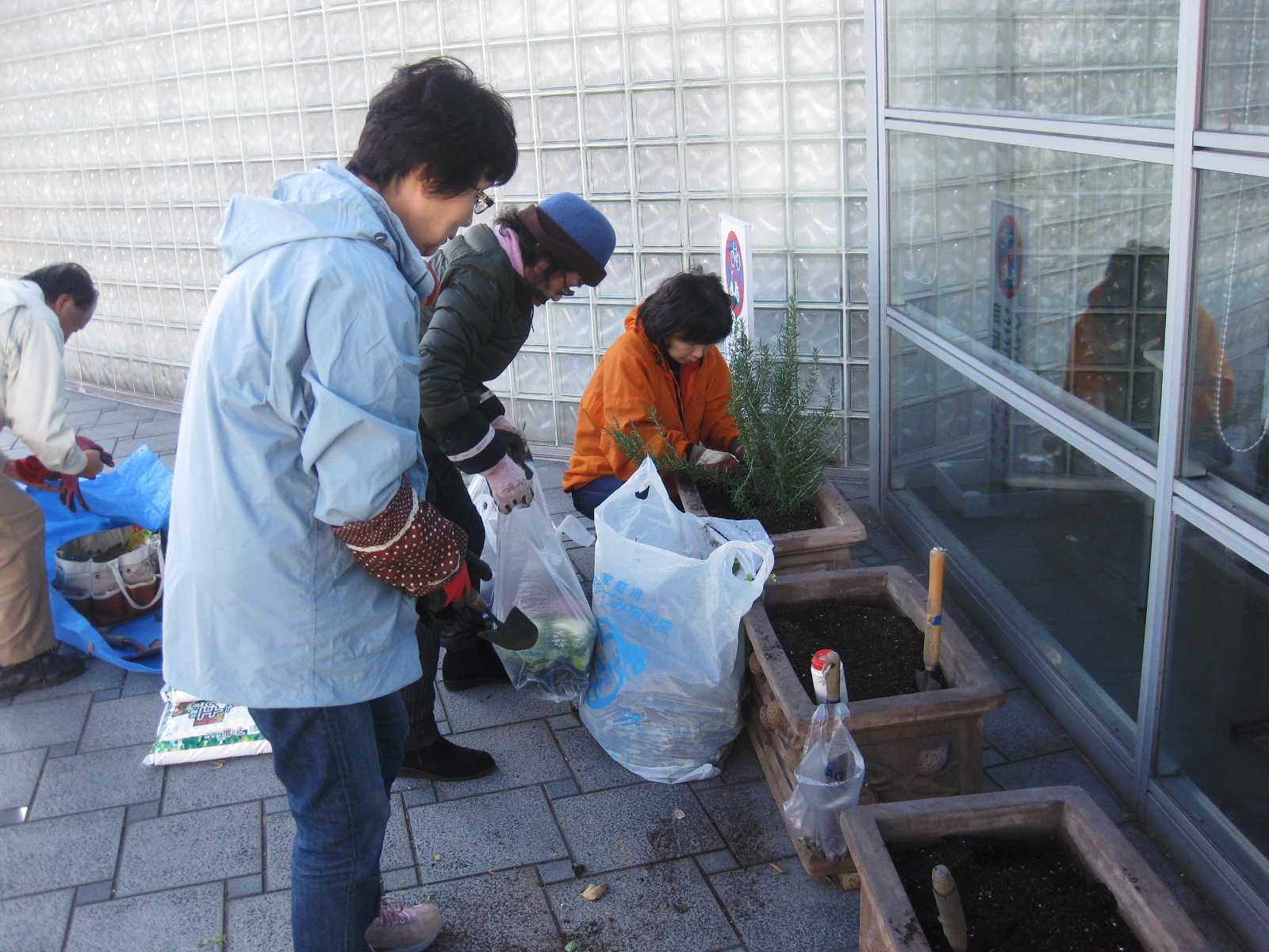 植え替え作業　＆　舞