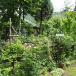 conv0004