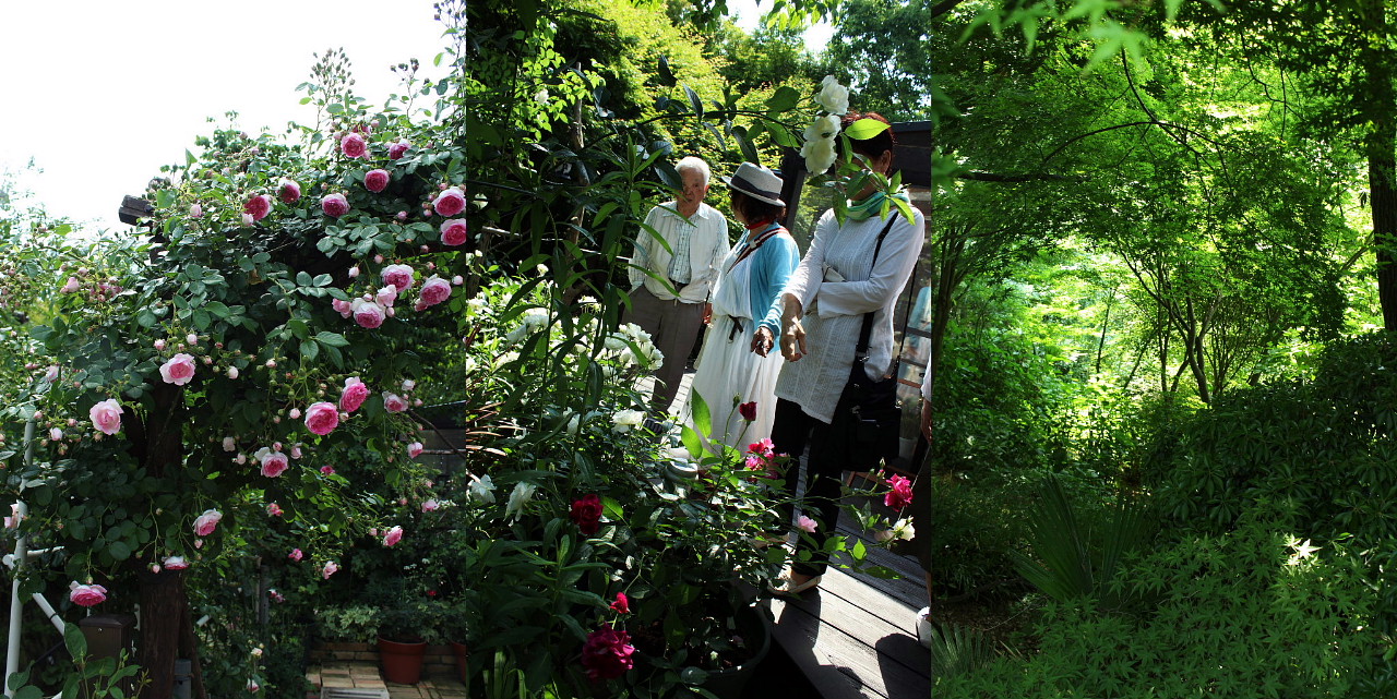 オープンガーデン反省会&ゴーヤの植えつけ