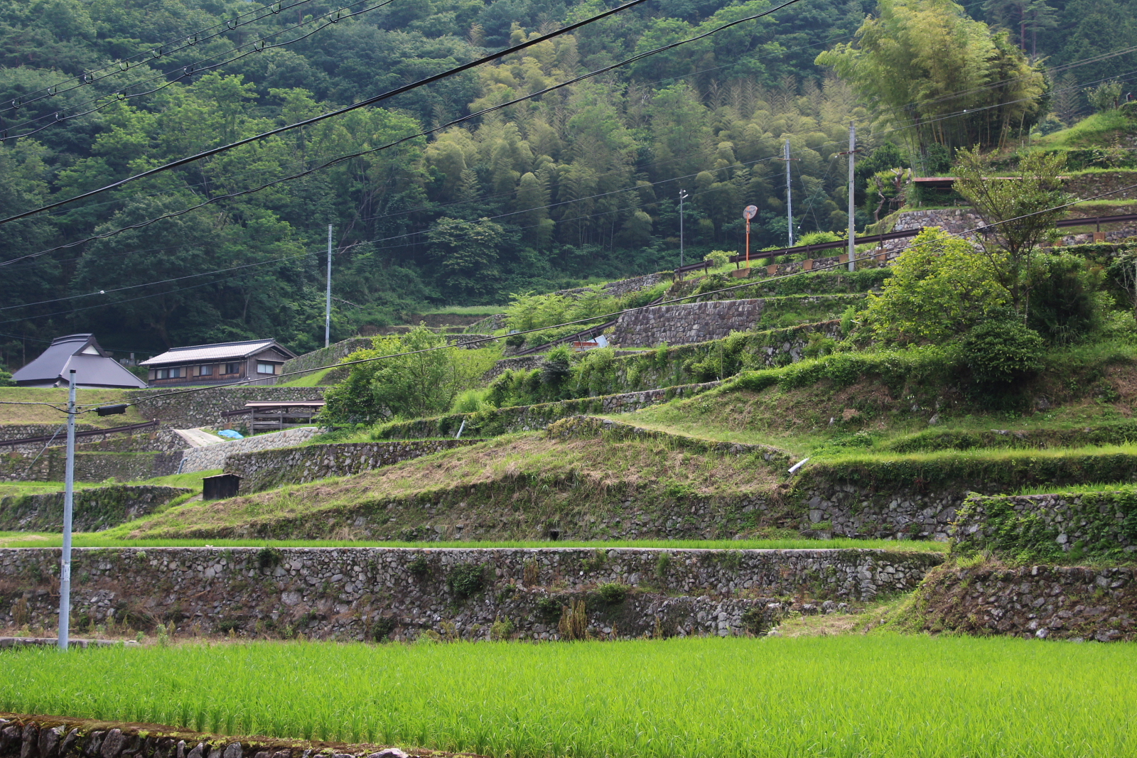 風景