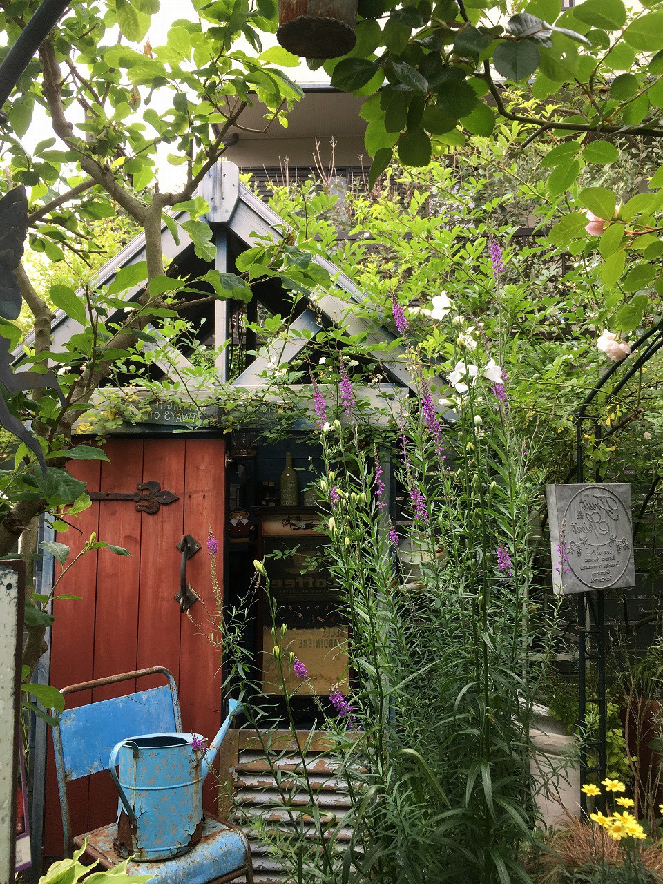 2020open garden　北区幸陽町　山田庭