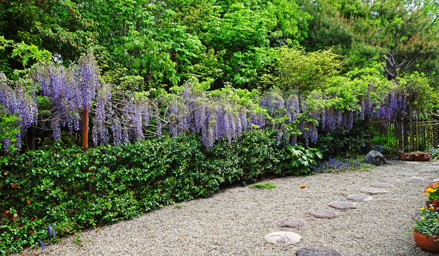 2020opengarden 名塩さくら台　小野庭