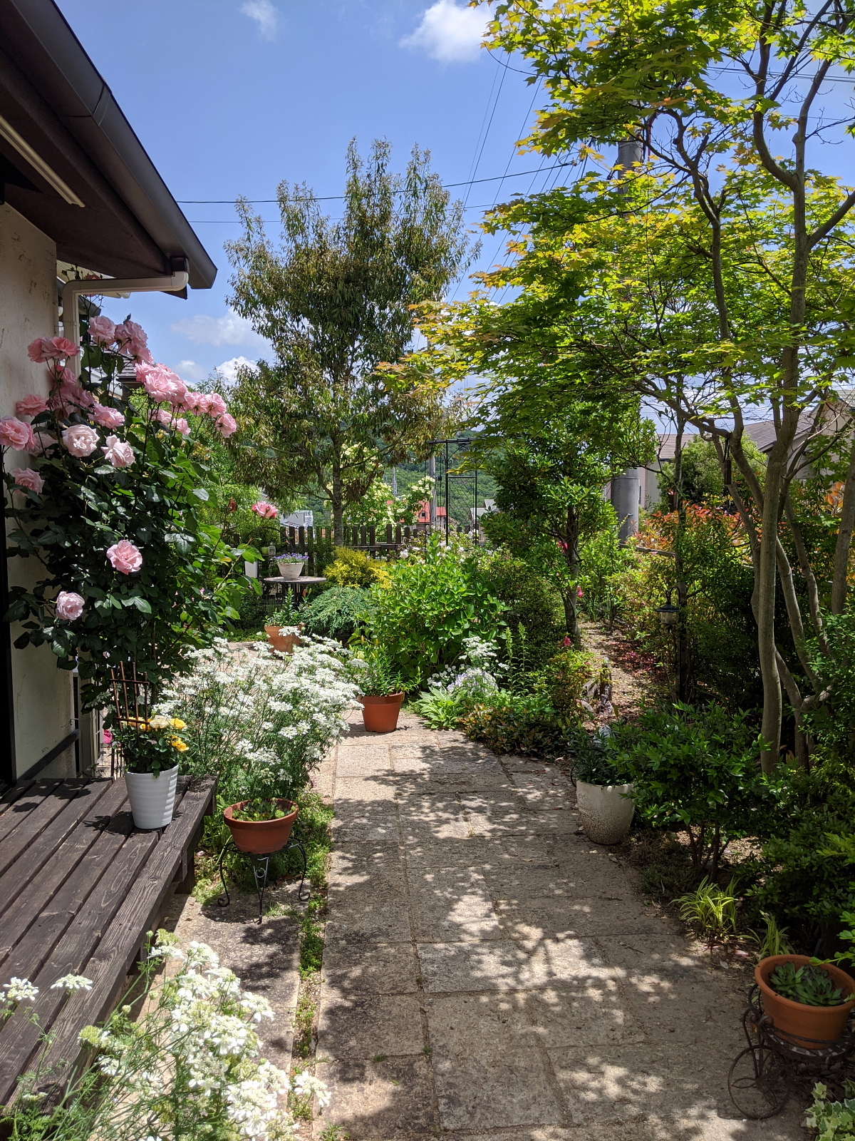 2020 open garden　けやき台　内田庭