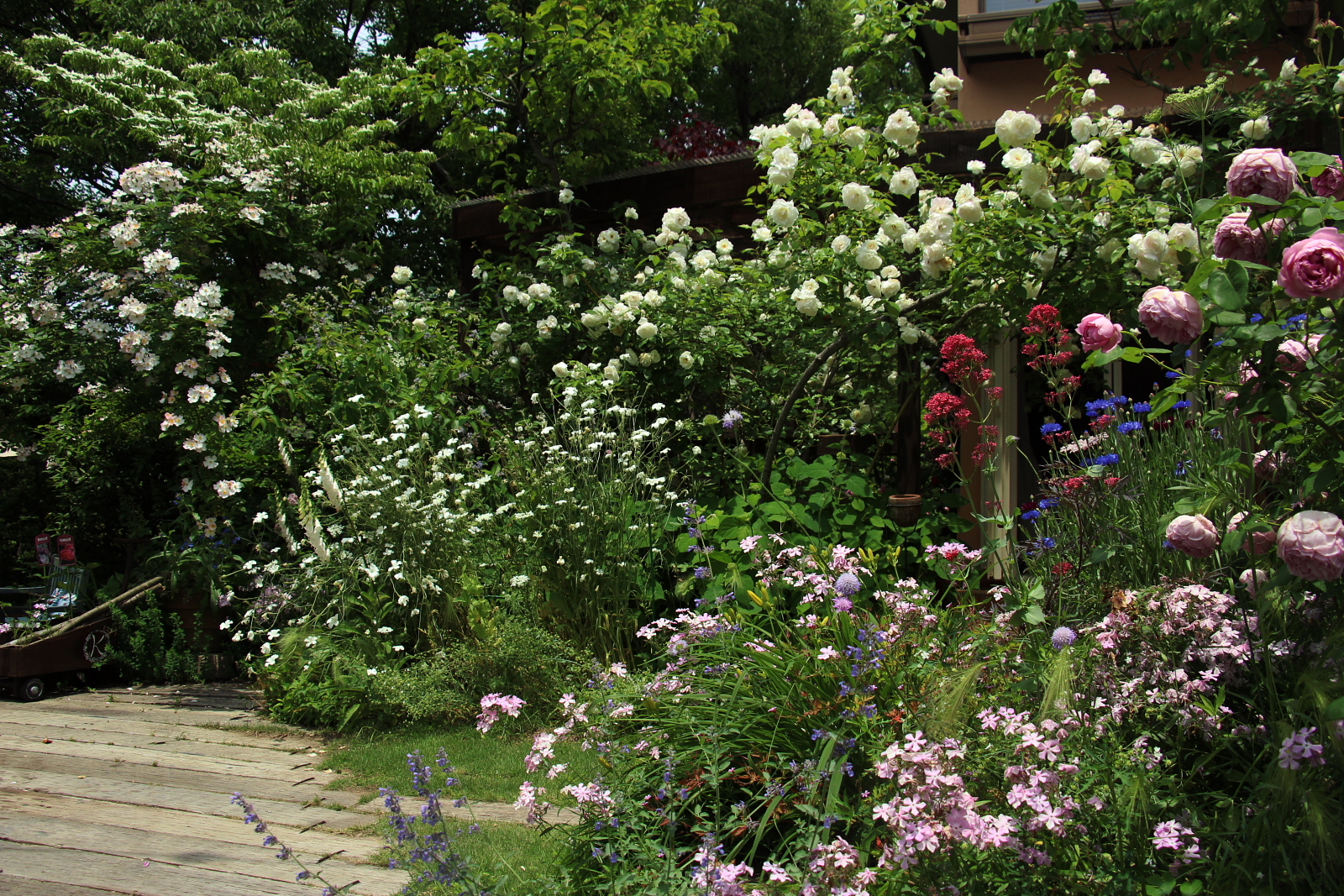 2020open garden北区惣山町　小阪庭