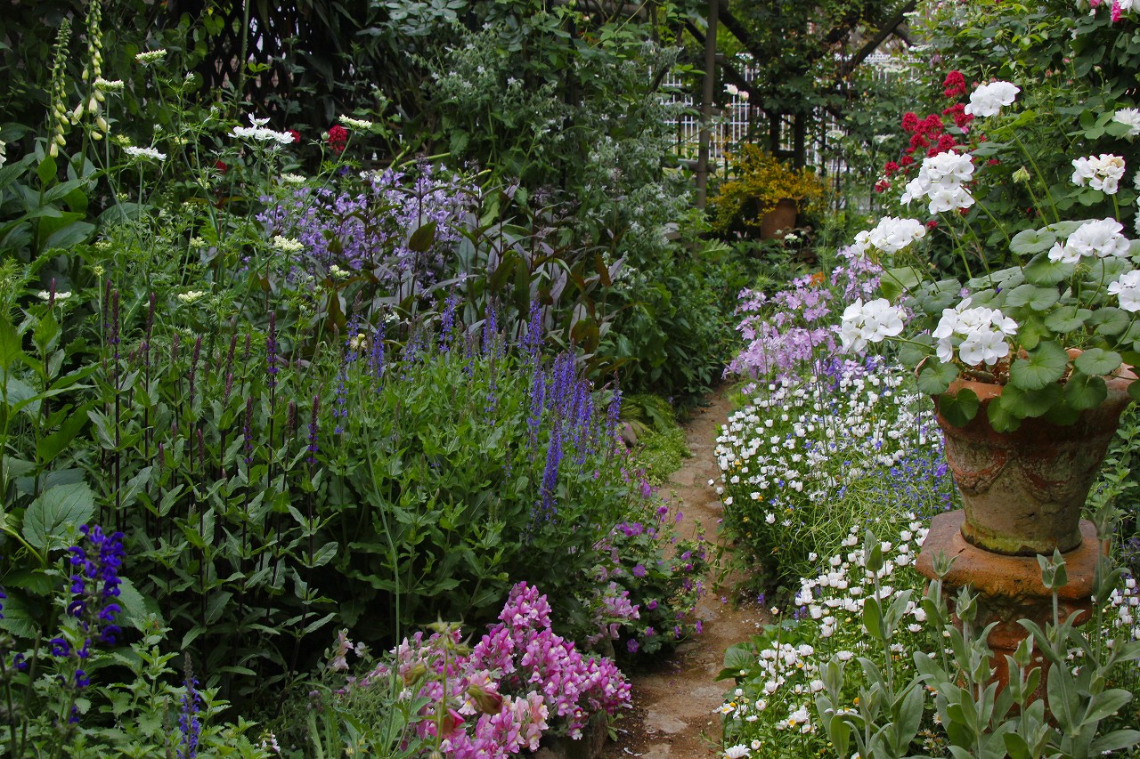 2020 open gardenけやき台　富田庭