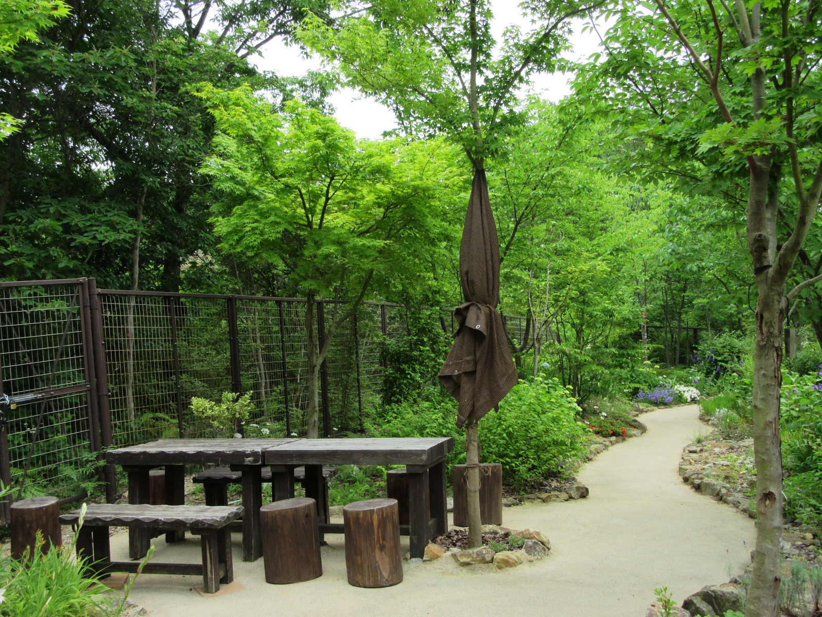 2020opengarden 名塩さくら台花の散歩道