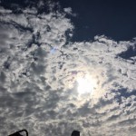 IMG_2294