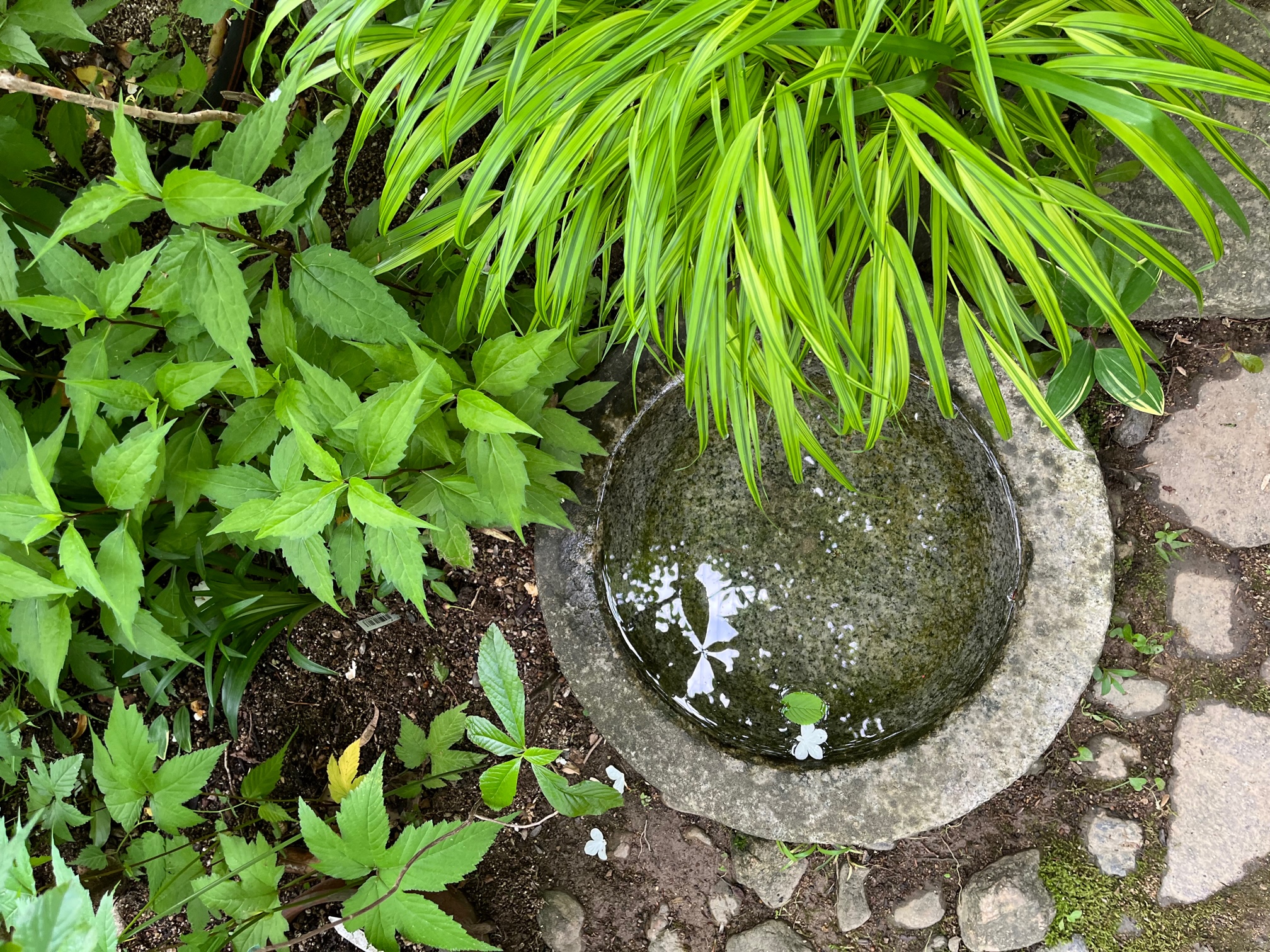 宮地庭　　ゆりのき台