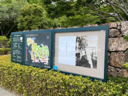 研修旅行「牧野植物園とモネの庭」