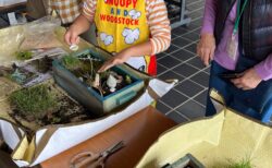 さんだまち博　ＨＡＫＯＮＩＷＡ　Gardenを作ろう