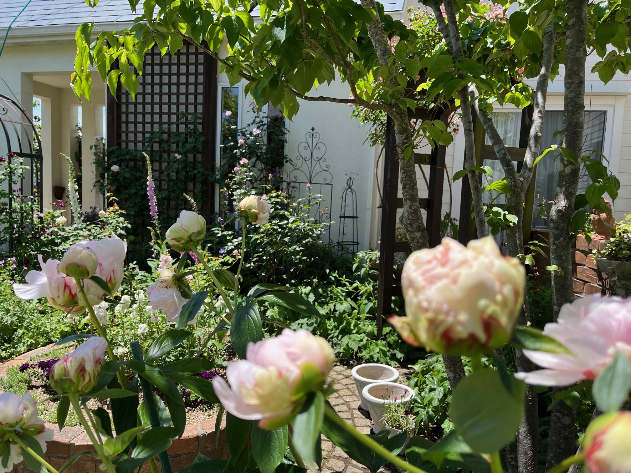 OG 2024 松家庭　学園　坊庭　学園