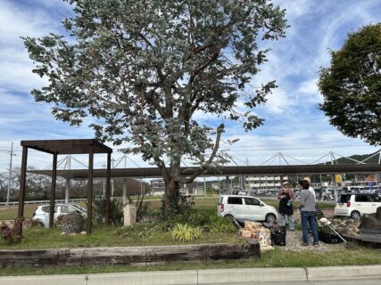 4月のWelcome Gardenの定期作業のお知らせ