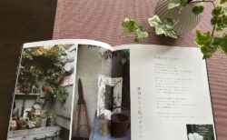 GARDEN STORY オープンガーデンの庭から 特別価格で販売します！！