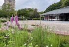 神姫バス１dayフリーキップは中央公園にて当日販売いたします