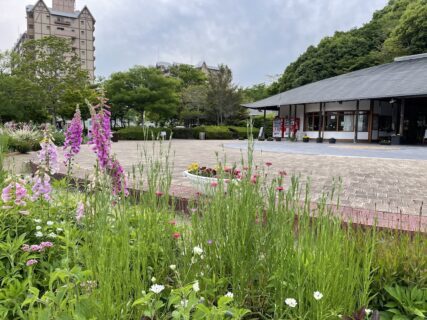 神姫バス１dayフリーキップは中央公園にて当日販売いたします