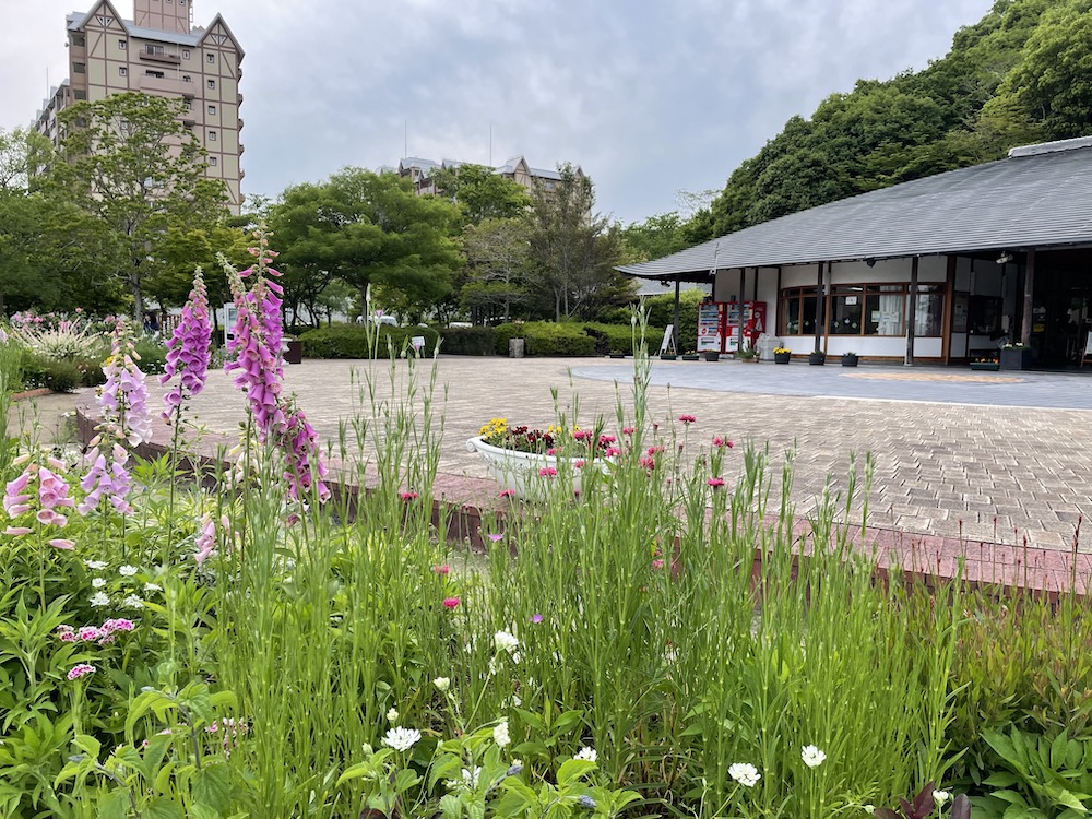 神姫バス1dayフリーキップは中央公園にて当日販売いたします