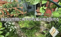 三田グリーンネットのお庭YouTubeで配信