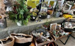 チャリティー１ｄａｙ雑貨ショップレポート