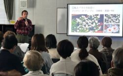 2026　1月　活動報告　バラ講習会