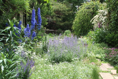 三田グリーンネットオープンガーデン日程